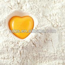 india Protein Crude 11.5% wheat flour spain