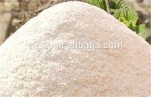 Good flour wheat flour bread flour for sale