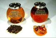 cheap Indonesia crude oil palm for sale