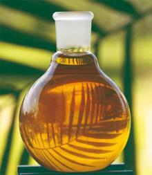 Best quality Malaysia crude palm oil