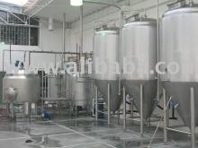 Microbrewery 10 Hl/batch