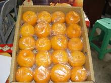 Baby mandarin/ Fresh mandarin orange/Thailand baby mandarins