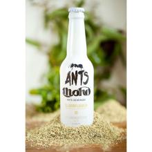 Moho Cider - Elderflower