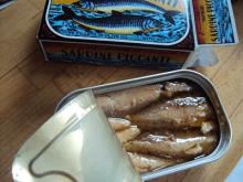 sardine 21food