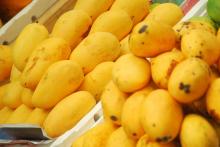 Fresh Mango