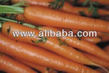 Carrot.