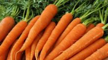 fresh carrot