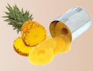 Canned Pineapple Slices