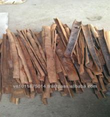 Vietnamese split cinnamon