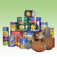 Canned pineapple slices/Pieces/Ckunks/Crush