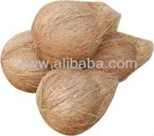 Well-Matured Coconut
