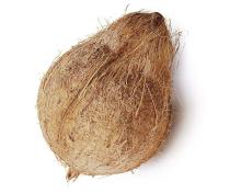 600Gms Matured coconut