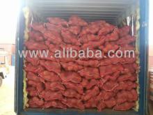 Fresh Matured Coconut