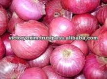 Fresh Red Onion