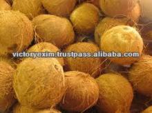 Indian matured high Quality husked coconut
