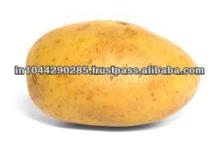 Sweet Potato for sale
