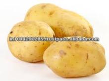 Potato Price in India