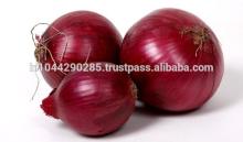 Fresh Red Onion