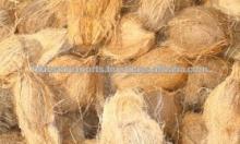 Coconuts in offer prise