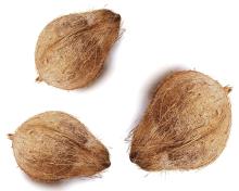 Offer price in fresh coconuts