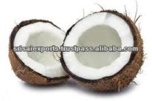 Mature Coconut