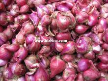 Red Onion