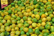 Fresh Mango