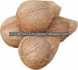 Indian Semi Husked Coconut