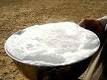 Camel milk manufacturer