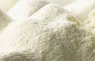Horse milk powder manufacturer