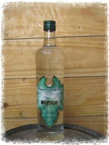 ITALY PISCO