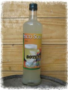 PISCO SOUER