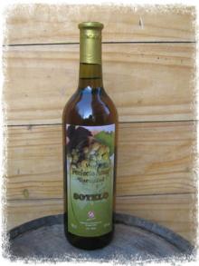 VINO TORONTEL