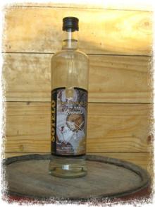 Pisco quebranta