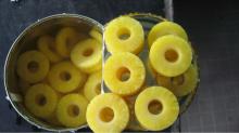 VEGEHAGI CANNED MINI SLICED PINEAPPLE