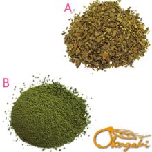 High quality Organic Loquat Leaves Tea For Health Drink Popular in Japan
