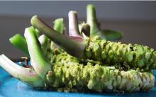 wasabi mayonnaise years's supplier