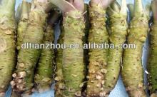 mayonnaise from China manufacturer exporter
