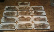 Dried salty Bullhead fish snack