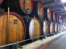 Batavia Arrack in bulk / Indonesian Rum in bulk