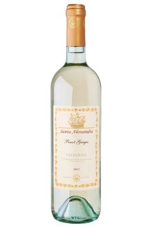 Santa Alessandra Pinot  Grigio  D.OC.