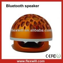 Flexwill speaker lollipop speaker