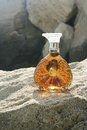 Fine champagne Cognac Armagnac