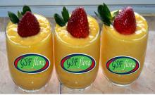 GSF Flora Rapid Yogurt Starter Culture
