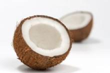 Coconut Frozen Yogurt Powder Mix