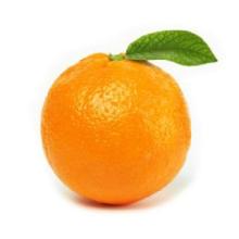 Orange Frozen Yogurt Powder