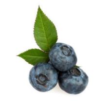 Blueberry Frozen Yogurt Powder Mix