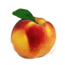 Peach  Frozen   Yogurt   Powder  Mix