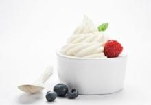 Tart Frozen Yogurt Powder Mix