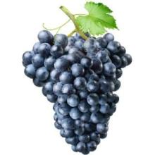 Champagne Grape Frozen Yogurt Powder